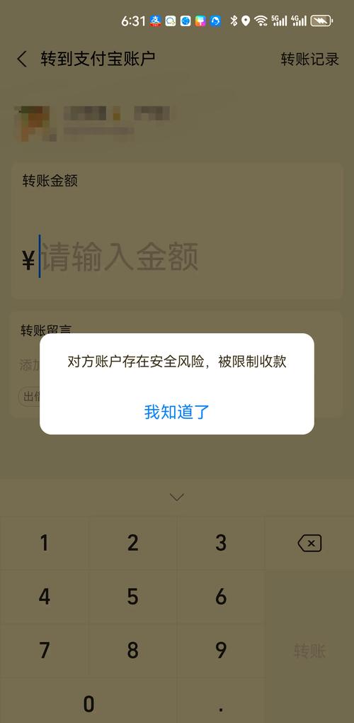 支付账户被冻结?别慌!手把手教你如何申诉解冻
