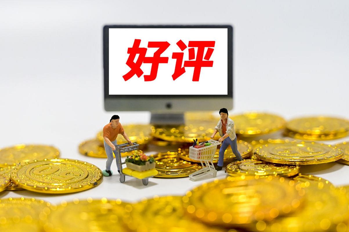 好评差评都别想跑,自动卡网用户评价机制的生存法则