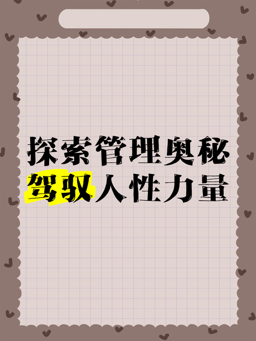 探索管理系统支持平台的奥秘,情感与实用并存的力量