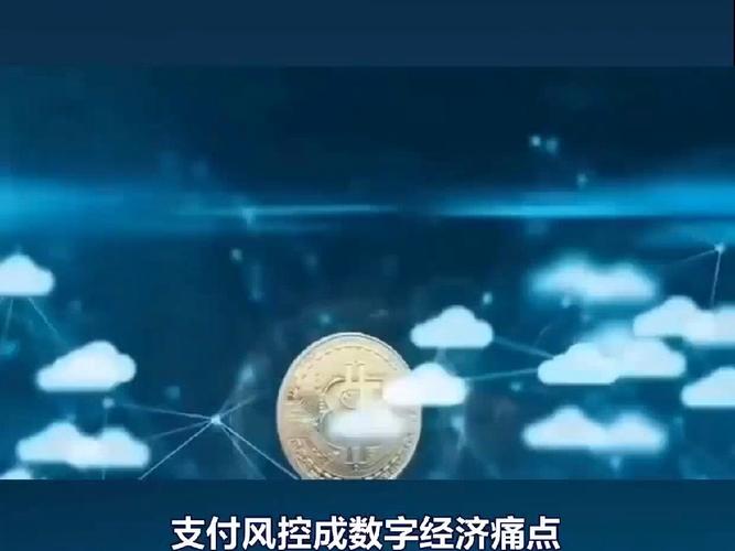 支付风控,如何在数字交易中守护你的每一分钱?