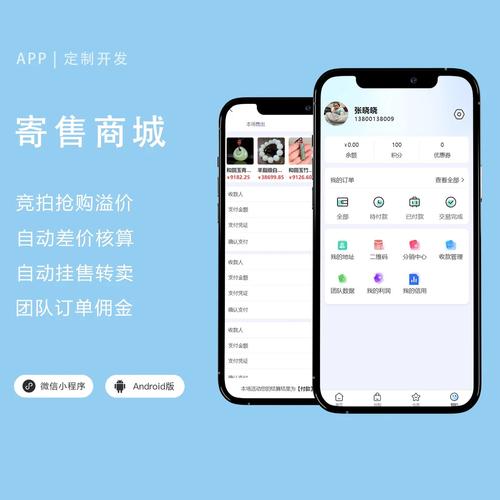寄售平台如何高效接入站内广告投放系统?全面指南与实战策略