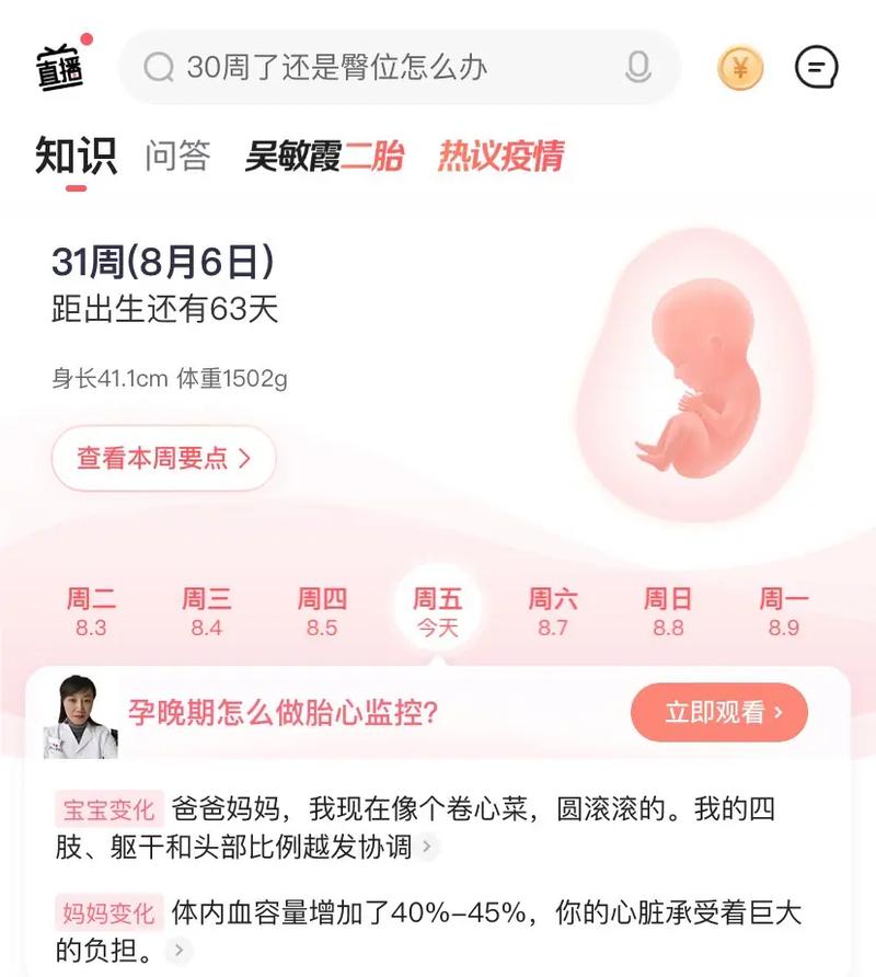 当数字开始呼吸,一个自动交易平台的退款心跳日记