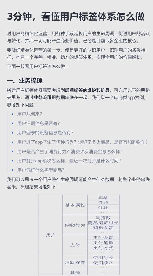 打造智能风控体系,自动发卡网用户行为评分标签的实战指南
