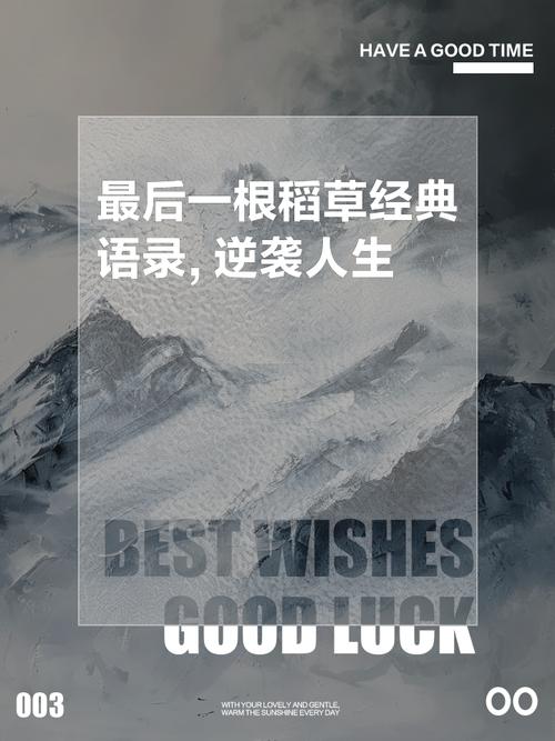发卡网商品生命周期管理,是救命稻草,还是压垮小商家的最后一根稻草?