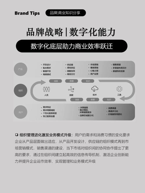 跨境支付结算的数字化跃迁,多币种月结报表如何重塑企业财务效率