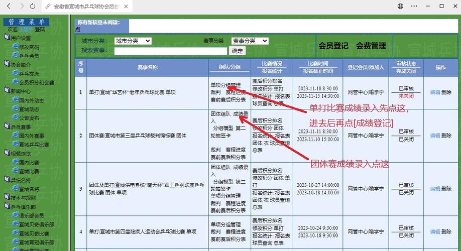 订单处理效率排行榜,寄售系统的隐形裁判如何改变游戏规则?