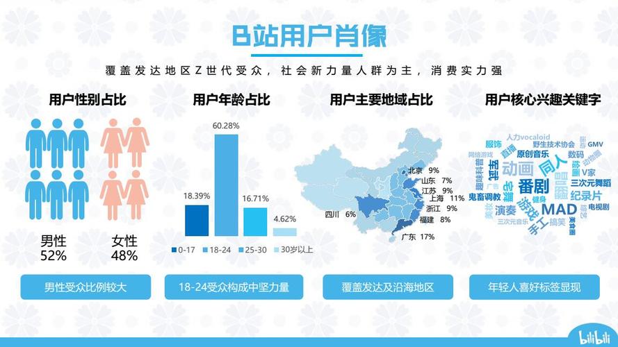 智能发卡网的用户画像算法,行业趋势、误区与应用方法