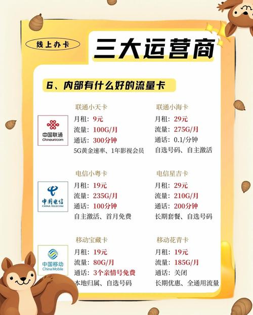 新手避坑指南,自动卡网用户等级权益分层管理全攻略