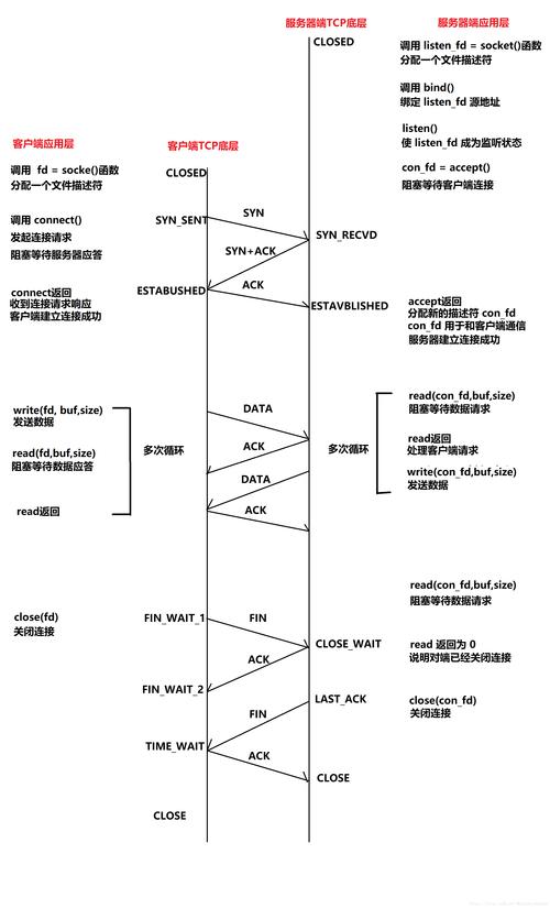 揭秘自动发卡网接口稳定性自动打分机制,全流程与细节全解析