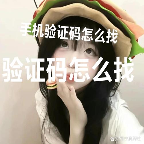 自动发卡系统,自定义验证码是安全壁垒还是用户体验的绊脚石?
