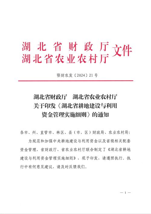 三方支付资金清分延迟通知设置的深度解析与经验分享