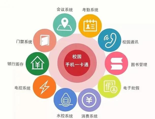 发卡网交易系统，如何通过自定义风控等级实现安全与效率的完美平衡？