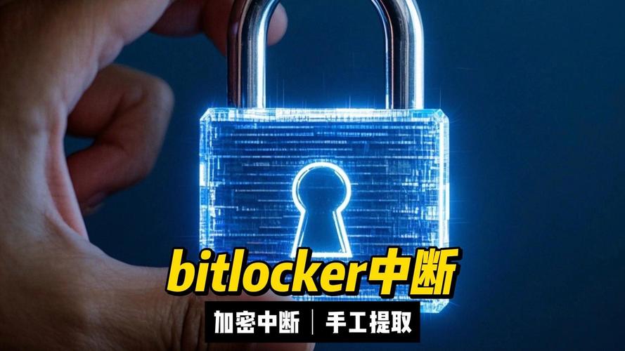 自动卡网卡密加密解密批处理工具,隐藏在代码背后的安全艺术