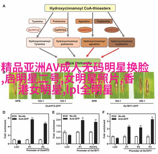 揭秘自动发卡网交易数据统计模块,从数据海洋到商业洞察的蜕变