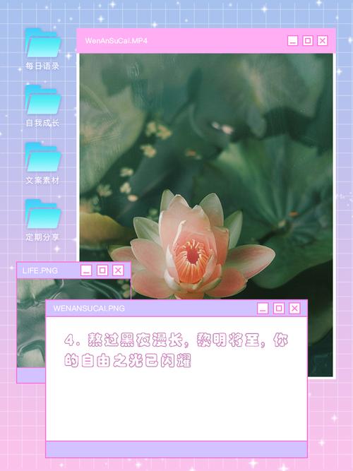 我的发卡网寄售之路，从忐忑到信任，自助认证让我重获自由
