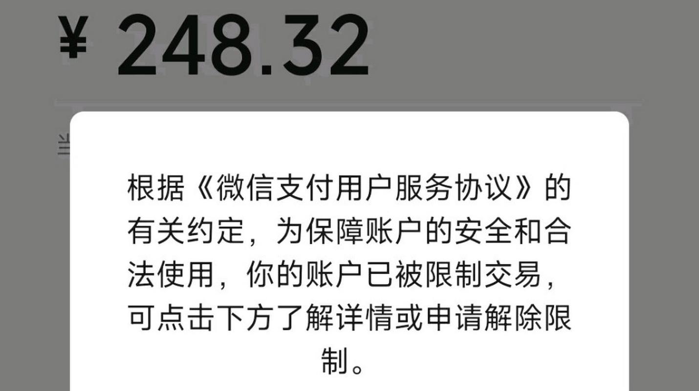 我的钱去哪儿了?揭秘三方支付平台账号冻结的那些事儿