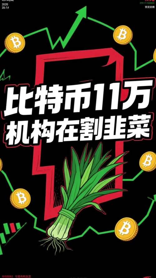 当比特币对我眨了个眼，一个韭菜的奇幻价格漂流记