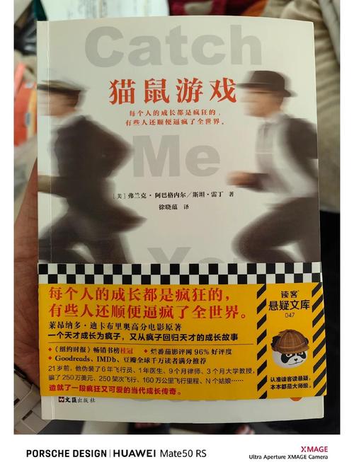 当骗子遇上鹰眼,一场三方支付的猫鼠游戏