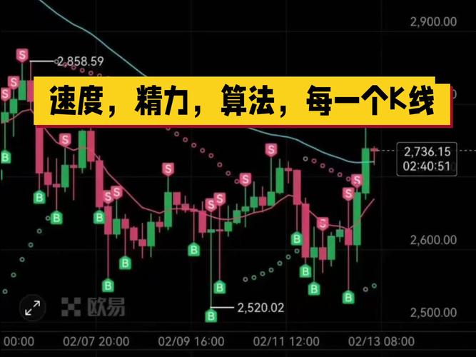 别让算法偷走你的利润，一个自动交易者的血泪独白