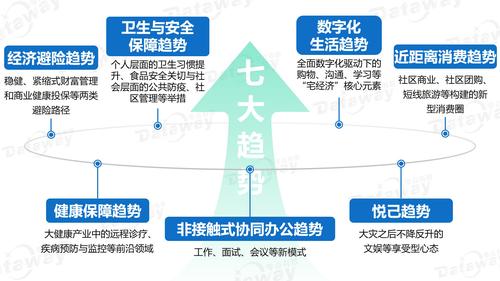 数字迷宫的守护者，三方支付资金异常走向监控的多维透视