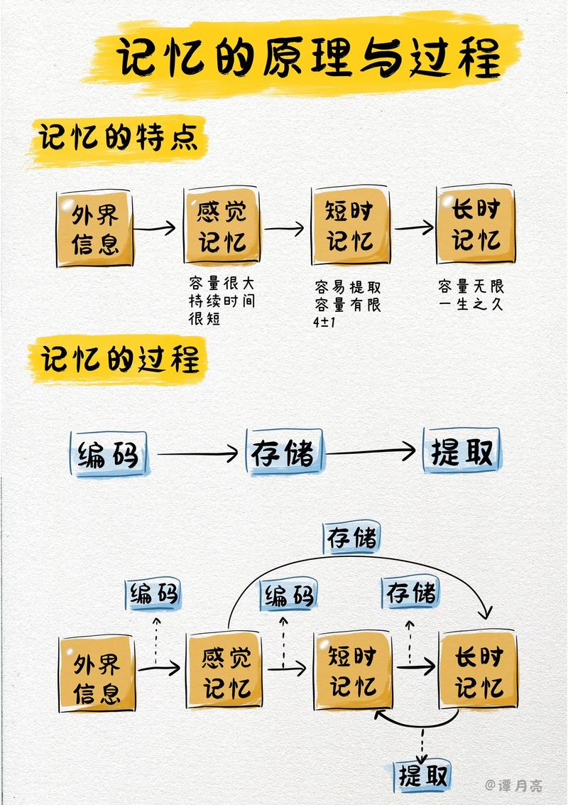 订单的记忆,当交易系统学会自我追溯