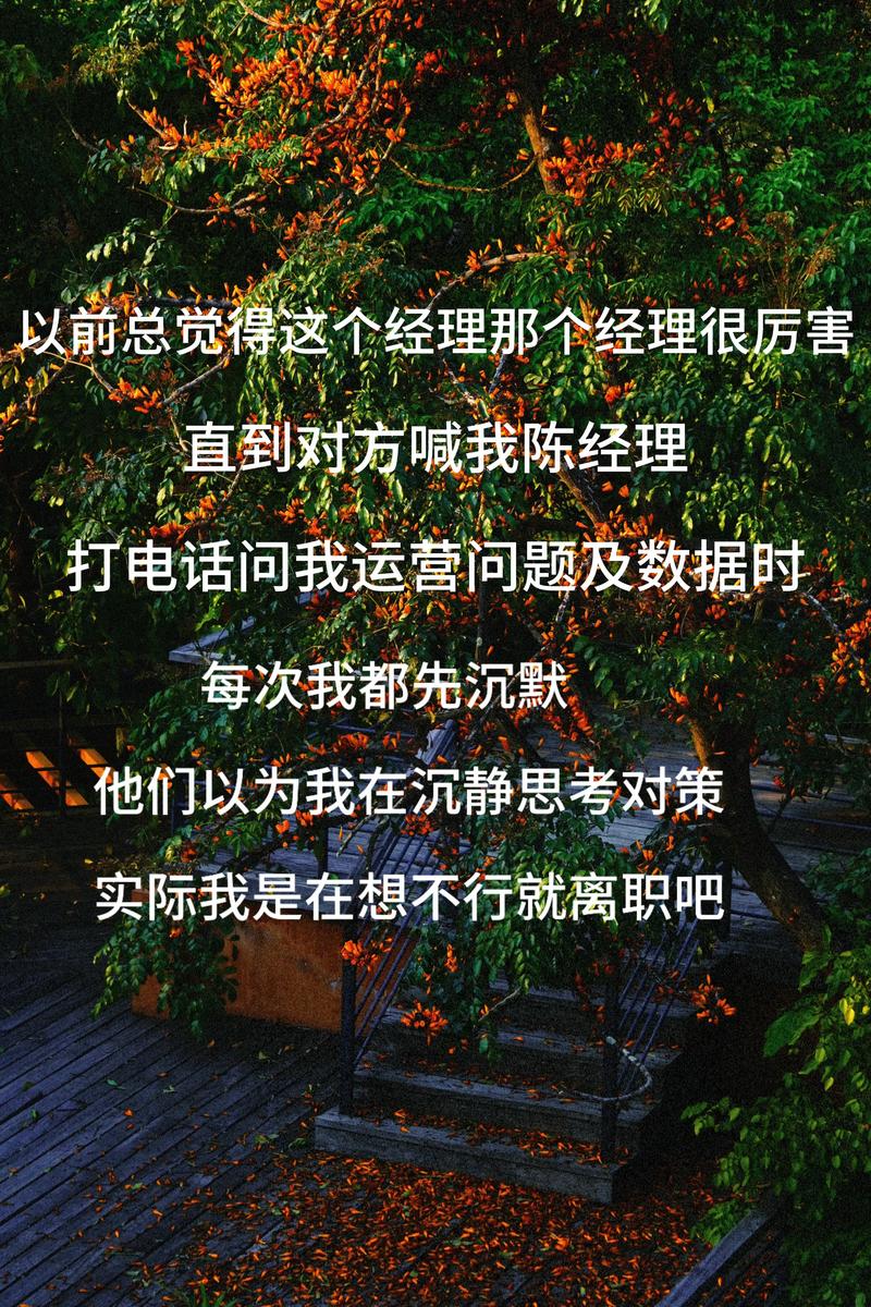 账单日的叛逆,我如何让时间为我打工,而不是被它追着跑