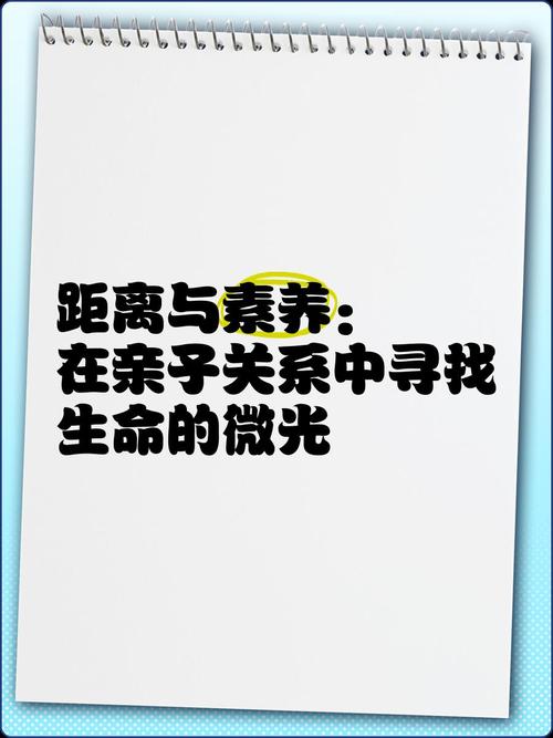 算法牢笼与人性微光,自动发卡系统异常订单处理的伦理悖论