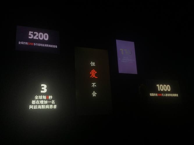 订单记忆守护者,一场凌晨2点的数据拯救行动