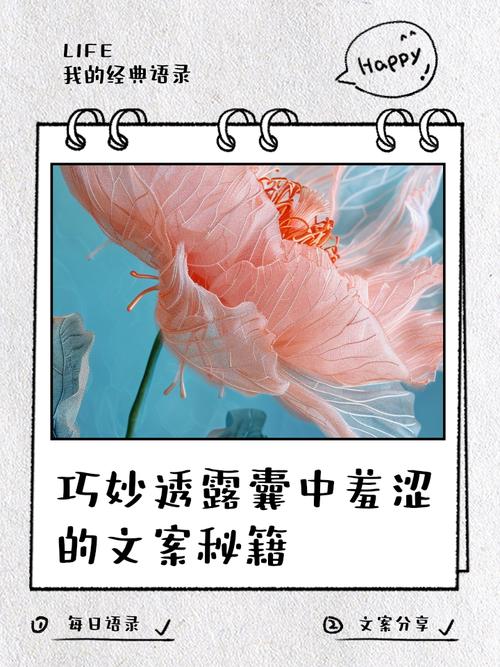 被遗忘的钱包,当卡片在云端起舞,我们失去了什么?