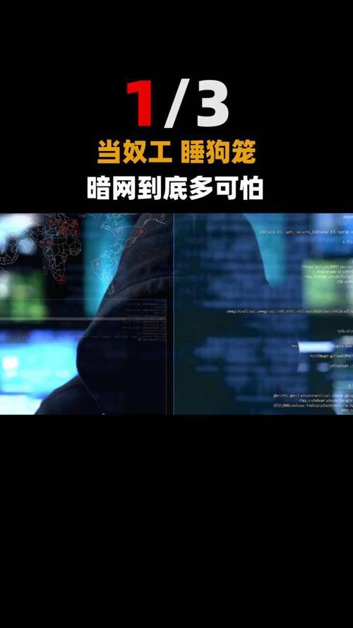 发卡网暴利背后，是技术革新还是道德沦丧？揭秘转化率飙升的黑暗密码