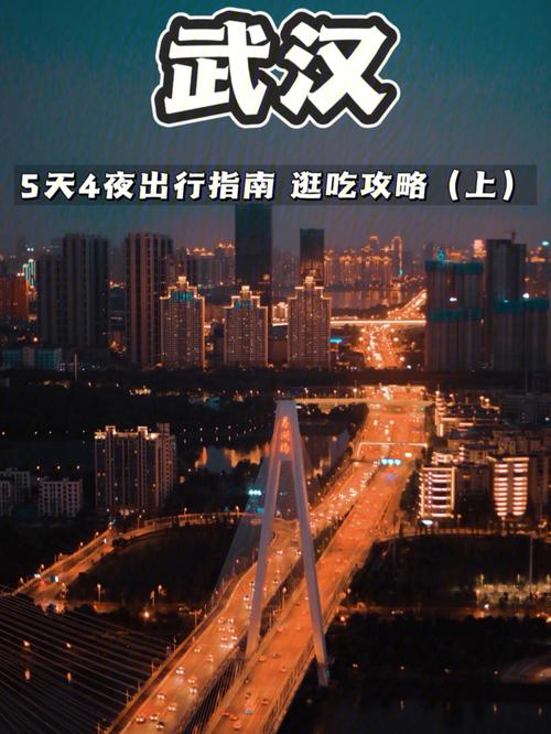 当数字仓库失火,发卡网数据丢失的至暗时刻与涅槃重生指南