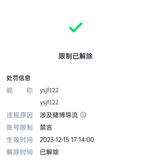 解锁链动小铺商户登录限制,从封禁到自由的终极指南