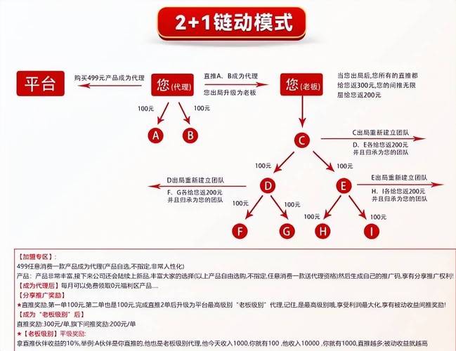 链动小铺的技术支持,是真功夫还是花架子?