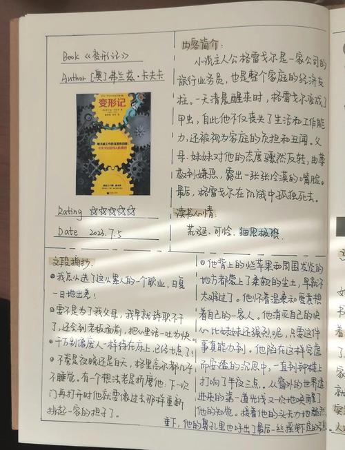 暗流与黄金，我在发卡行业的生存笔记