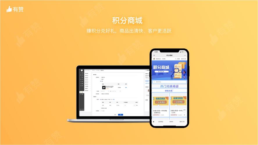 选择一(系统化视角)构筑用户忠诚的基石,链动小铺会员积分体系全链路设计指南