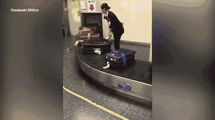 别让用户想一想，发卡网下单体验的魔鬼细节与优化实战