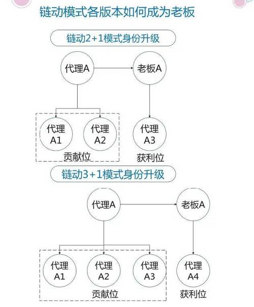 链动小铺，一码当先，解码商户多渠道收款的增长引擎