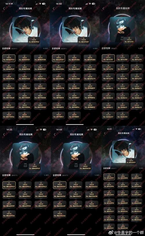 发卡网商户等级,从青铜到王者,你的权益升级指南