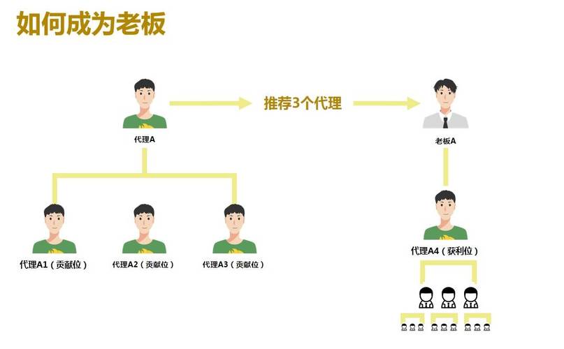 链动小铺接入第三方发卡系统,一场关乎生态、体验与自主权的深度博弈