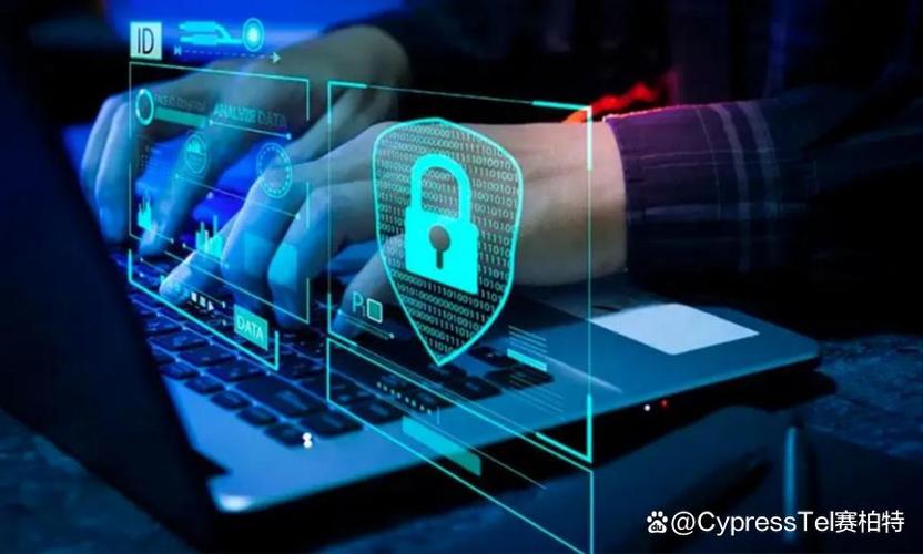 链动小铺的隐形盾牌,数字商品防刷机制如何重构信任边界?