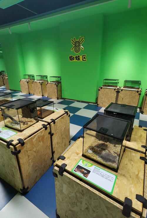 虚拟货架与数据引擎，当发卡网遇上链动小铺，一场数字商品的核聚变