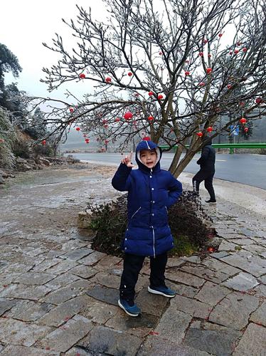 当寂静发出尖叫,发卡网监控告警系统的人性化生存指南