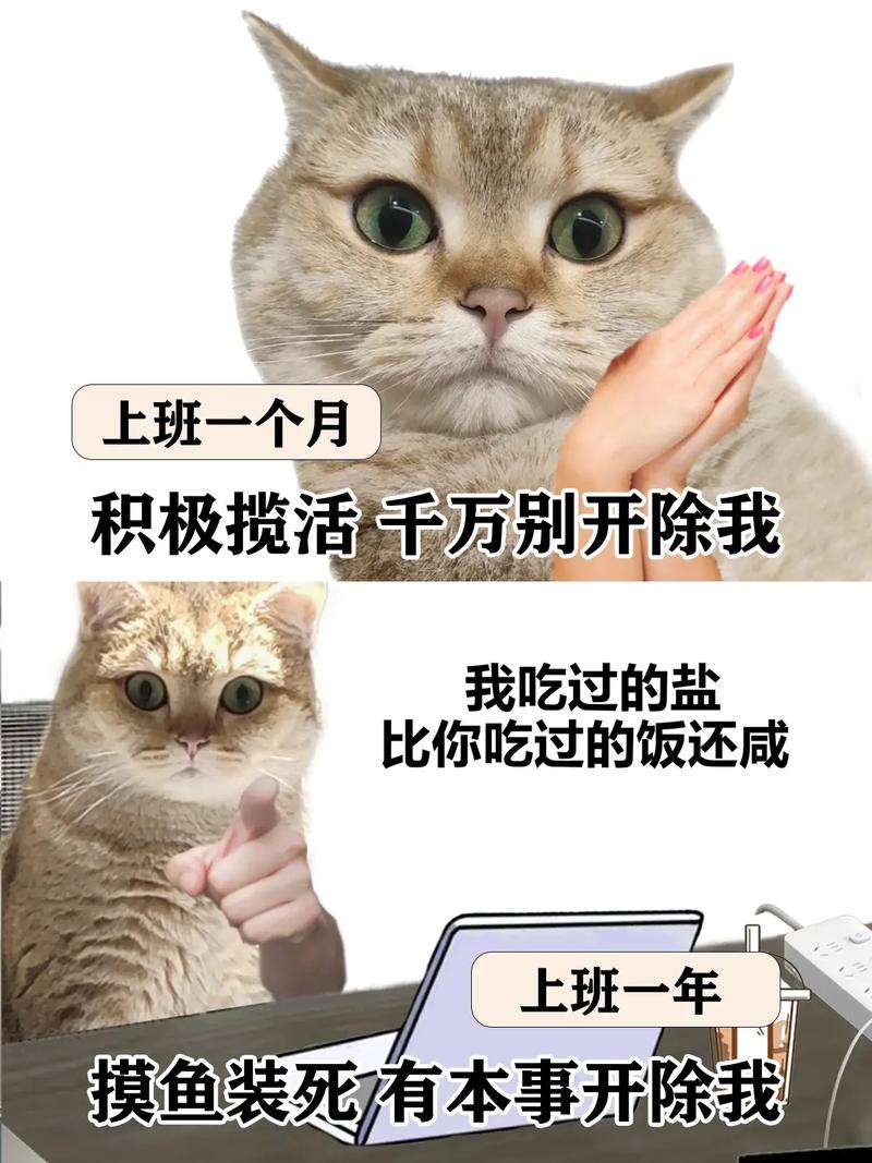 当副业焦虑遇上链动小铺，我的发卡网躺赚实验