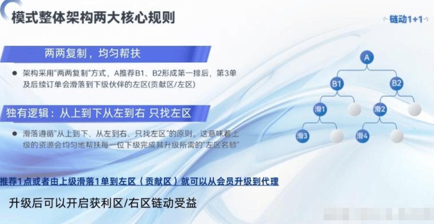 链动小铺发卡网，短期流量与长期价值的博弈场