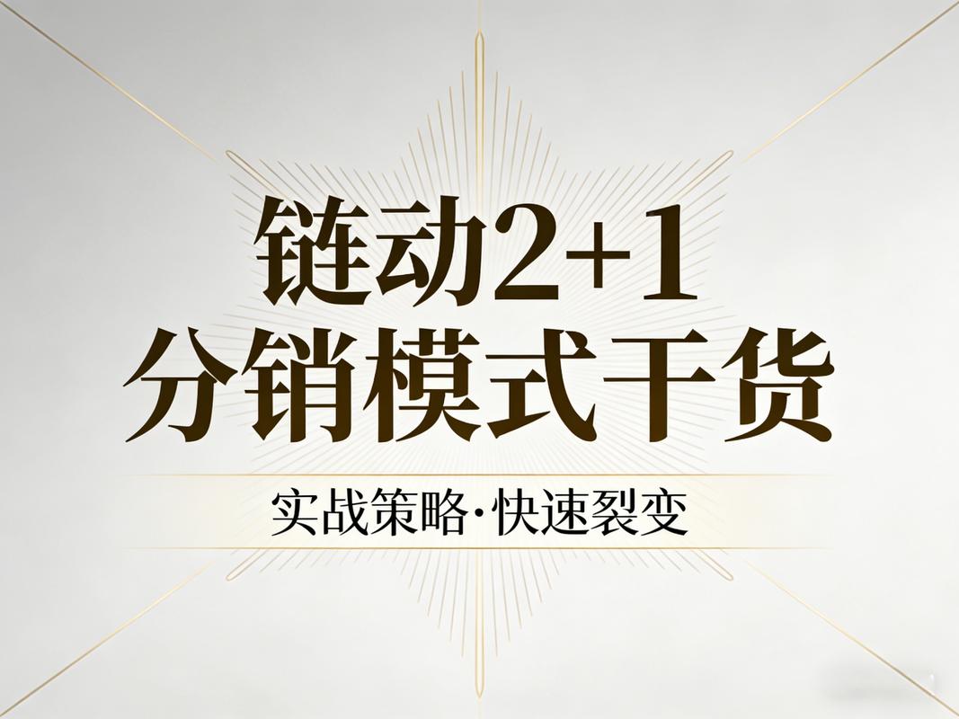 从发卡到链动，一个副业小铺的突围之路