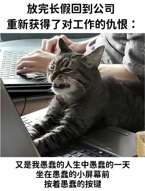 我的服务器，那个深夜加班的铁憨憨