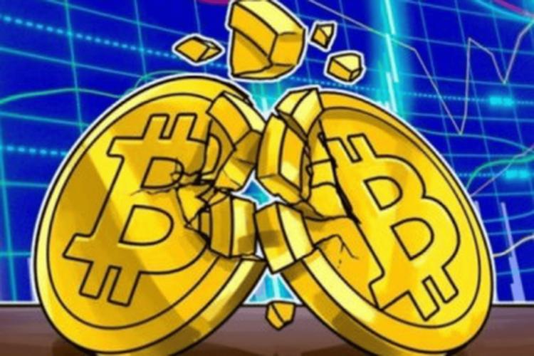 躺赚10万的发卡网老板，正在用自动执行系统收割千万韭菜？