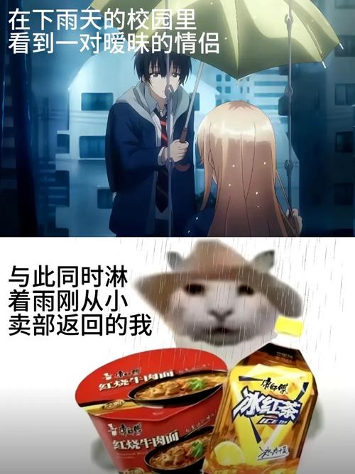 快与慢的生死局，链动小铺发卡网的速度陷阱与慢哲学
