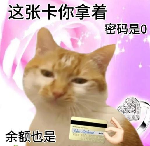 自动售卡一夜暴富？我亲眼见证发卡网和链动小铺背后的暗流涌动