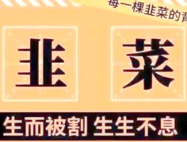 月入10万的发卡网老板,正在被00后割韭菜
